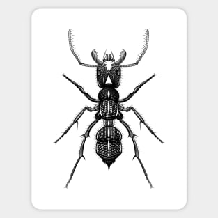 Metal Ant Sticker